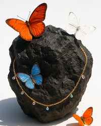 Colar Chocker Stellae Coloratae