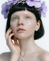 Conjunto Princesa das Planícies de Vinland