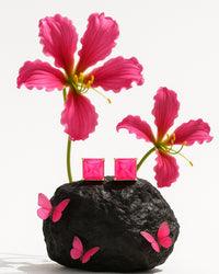 Brincos Rosas da Ilha de Socrota